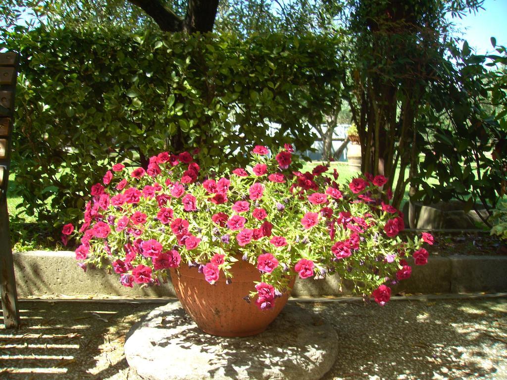 Tenuta Fagnani Lucca Habitación foto